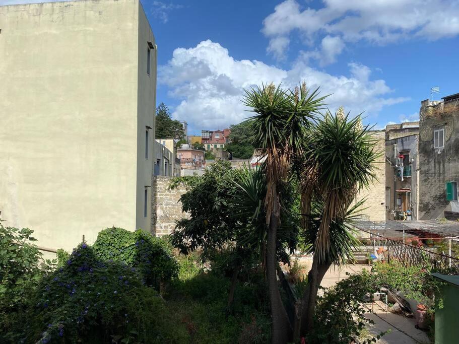 Casa Vacanze Rione Sanita Νάπολη Εξωτερικό φωτογραφία